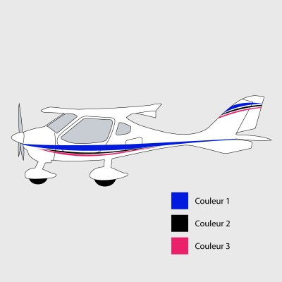 Stickers de décoration 4 pour avion CTLS
