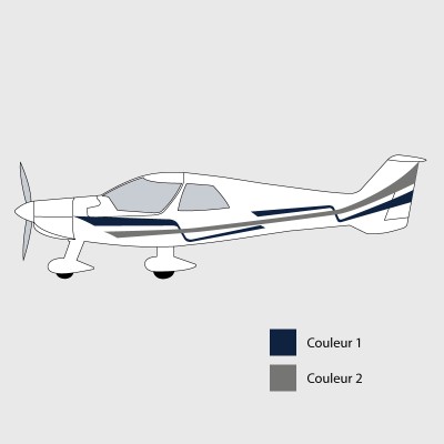 Stickers de décoration 1 pour ULM MCR 4S