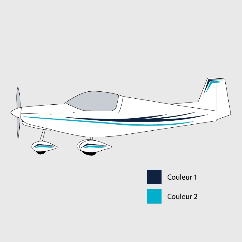 Stickers de décoration 1 pour ULM PIONEER 200/300