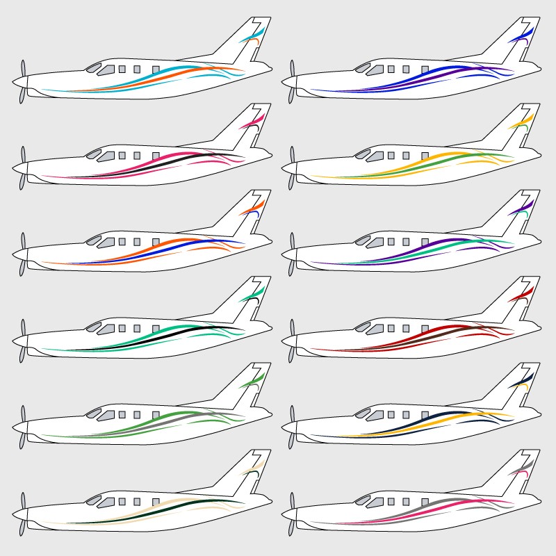 Stickers de décoration 1 pour avion TBM 900