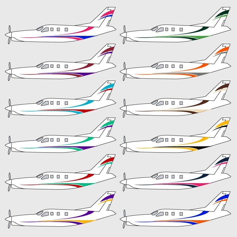 Stickers de décoration 2 pour avion TBM 900