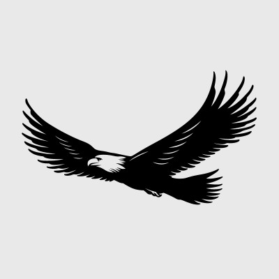 Mon Bel Avion - Stickers Aigle Américain ULM