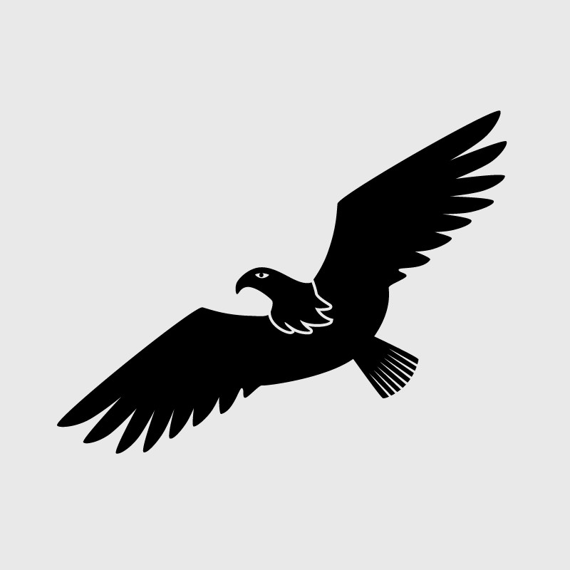 Stickers aigle avion ulm